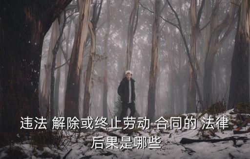 合同解除的法律后果是什么