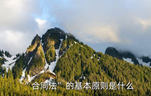 “ 合同法”的基本原則是什么