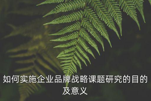 如何實(shí)施企業(yè)品牌戰(zhàn)略課題研究的目的及意義