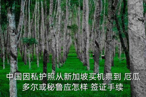 中國因私護照從新加坡買機票到 厄瓜多爾或秘魯應(yīng)怎樣 簽證手續(xù)