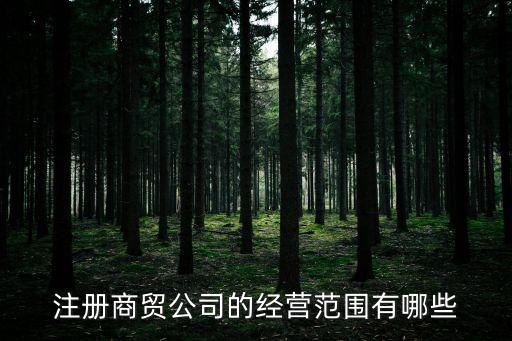 注冊商貿(mào)公司的經(jīng)營范圍有哪些