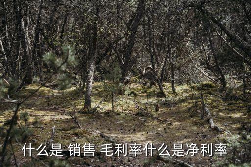 什么是 銷售 毛利率什么是凈利率