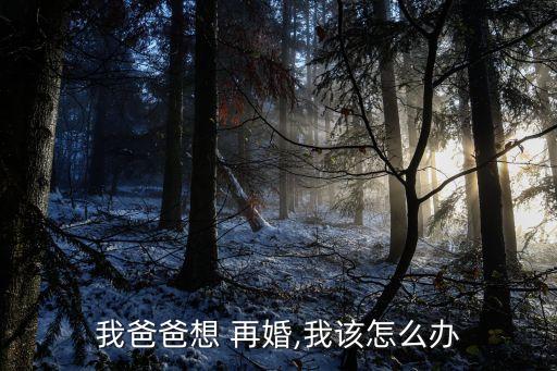 我爸爸想 再婚,我該怎么辦
