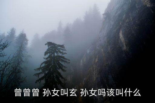曾曾曾 孫女叫玄 孫女嗎該叫什么