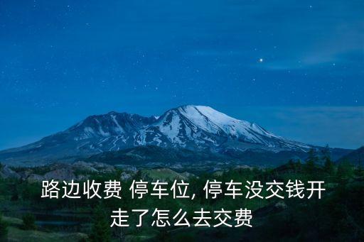  路邊收費 停車位, 停車沒交錢開走了怎么去交費