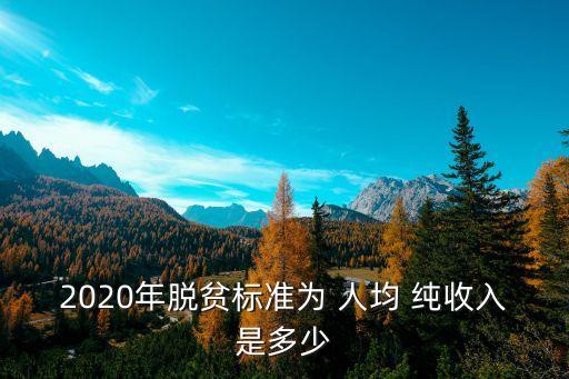 2020年脫貧標(biāo)準(zhǔn)為 人均 純收入是多少