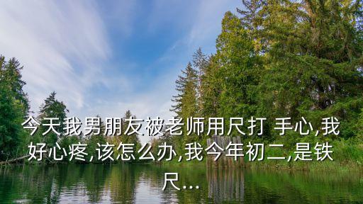 今天我男朋友被老師用尺打 手心,我好心疼,該怎么辦,我今年初二,是鐵尺...