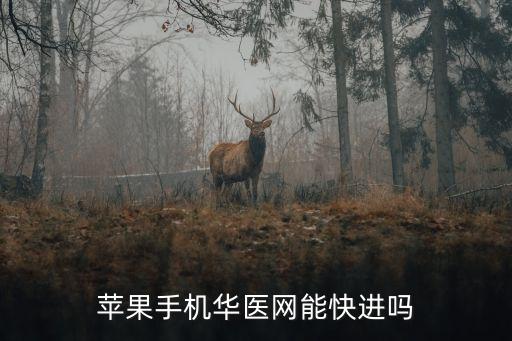 蘋果手機華醫(yī)網(wǎng)能快進嗎