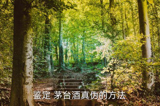 茅臺(tái)假酒,仿真飛天茅臺(tái)一手貨源