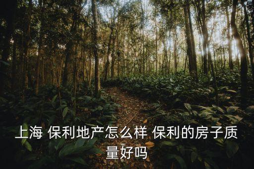 上海 保利地產(chǎn)怎么樣 保利的房子質(zhì)量好嗎