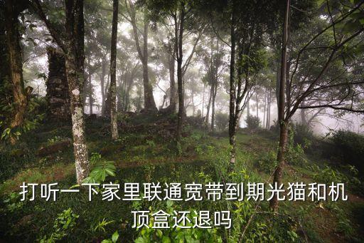 打聽一下,派小貓咪來打聽一下