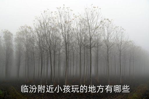  臨汾附近小孩玩的地方有哪些