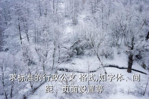 求標(biāo)準(zhǔn)的行政公文 格式,如字體、間距、頁面設(shè)置等