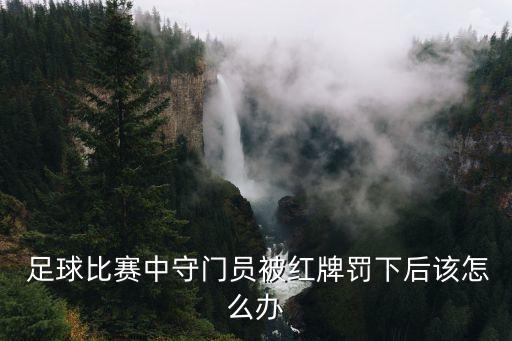  足球比賽中守門員被紅牌罰下后該怎么辦