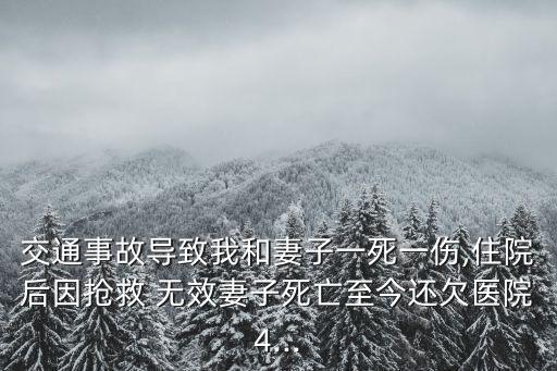 交通事故導(dǎo)致我和妻子一死一傷,住院后因搶救 無(wú)效妻子死亡至今還欠醫(yī)院4...