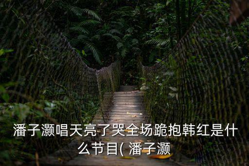  潘子灝唱天亮了哭全場跪抱韓紅是什么節(jié)目( 潘子灝