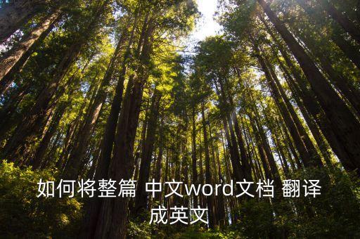 怎樣把中文翻譯成英語教學(xué),微信怎樣中文翻譯英語發(fā)出去
