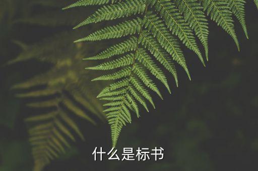 招書