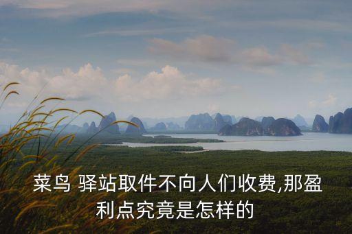  菜鳥(niǎo) 驛站取件不向人們收費(fèi),那盈利點(diǎn)究竟是怎樣的