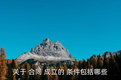 合同成立的條件有,民法典合同成立的條件