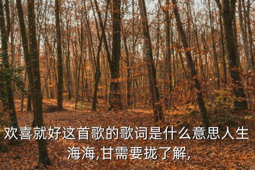 歡喜就好這首歌的歌詞是什么意思人生 海海,甘需要攏了解,