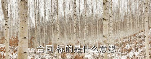 合同標(biāo)的
