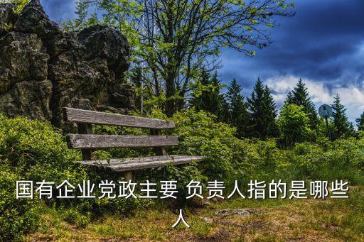 國有企業(yè)黨政主要 負(fù)責(zé)人指的是哪些人