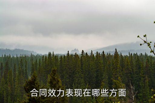 哪些合同具備法律效益作用,合同具備法律效益的條件
