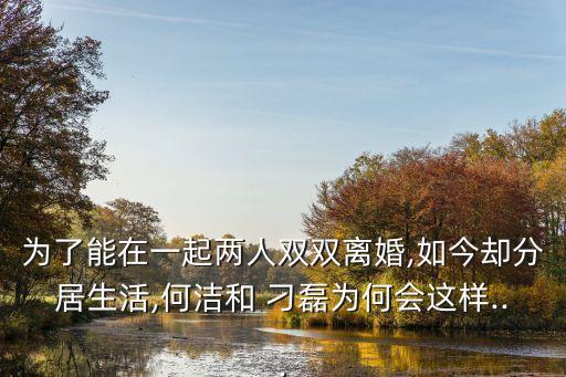 刁磊