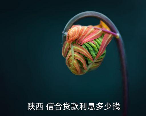  陜西 信合貸款利息多少錢