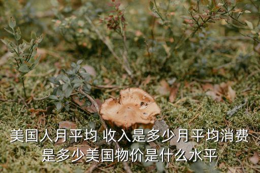 美國人均月收入,2022美國人均月收入