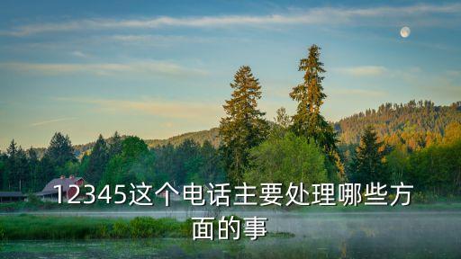  12345這個電話主要處理哪些方面的事