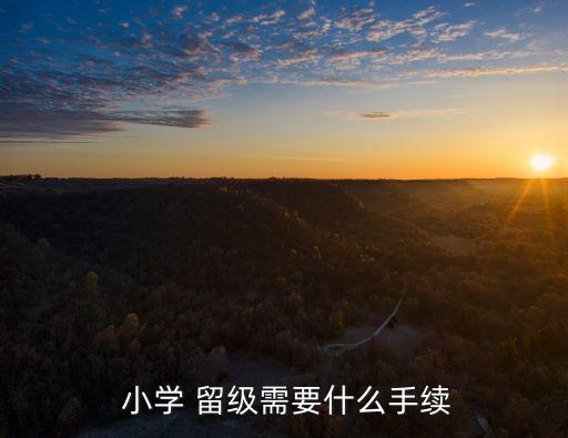 小學(xué)可以留級(jí)嗎,2023年小學(xué)可以留級(jí)嗎