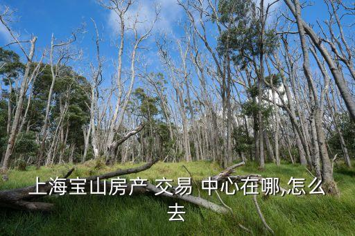 房地產(chǎn)交易中心