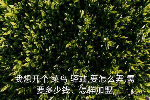 菜鳥驛站加盟費(fèi)多少,一個(gè)菜鳥驛站加盟多少錢