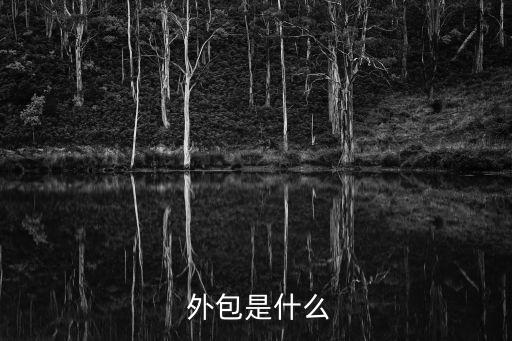  外包是什么