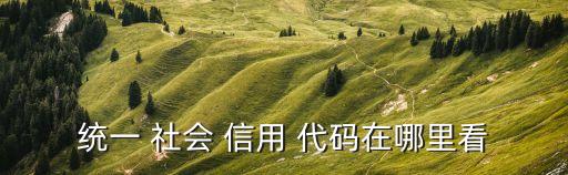 統(tǒng)一 社會 信用 代碼在哪里看