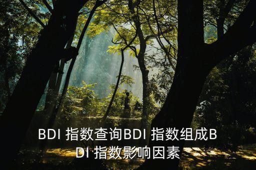 bdi指數(shù)