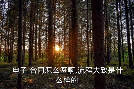  電子 合同怎么簽啊,流程大致是什么樣的