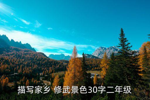 大修武