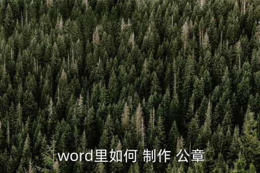  word里如何 制作 公章