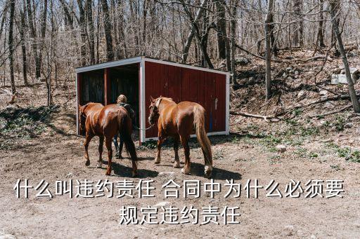 什么叫違約責(zé)任 合同中為什么必須要規(guī)定違約責(zé)任