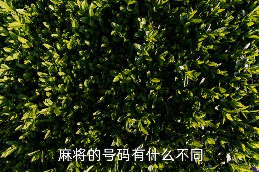 麻將44打著舒服還是42,家用麻將一般多大尺寸的順手