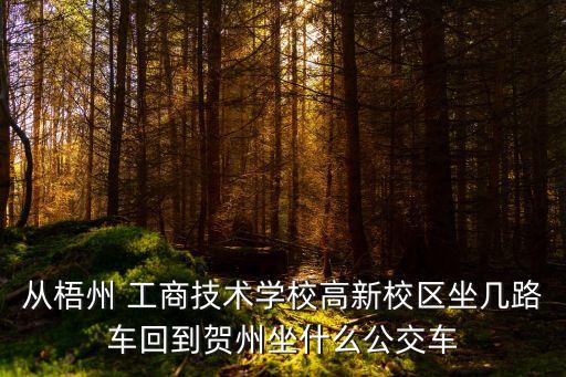 從梧州 工商技術(shù)學(xué)校高新校區(qū)坐幾路車回到賀州坐什么公交車