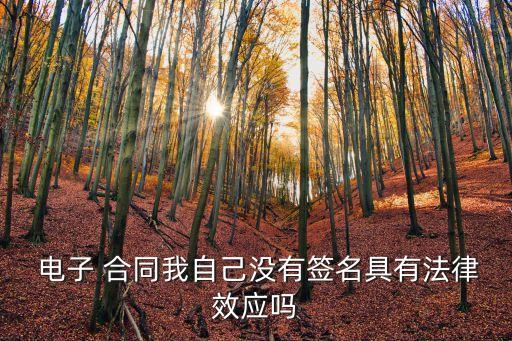 簽了電子合同沒簽書面合同,樂簽電子合同平臺(tái)