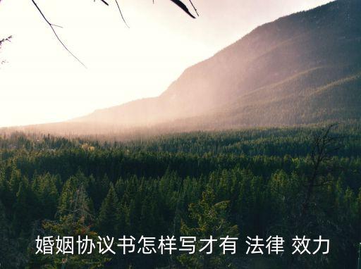  婚姻協(xié)議書怎樣寫才有 法律 效力