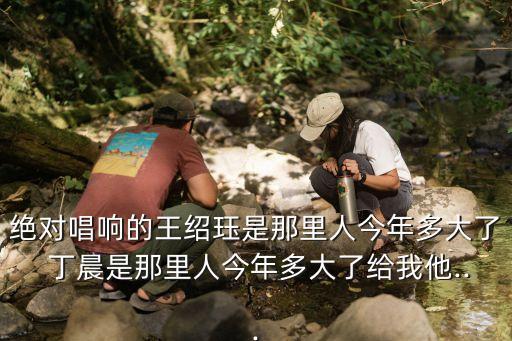 丁晨