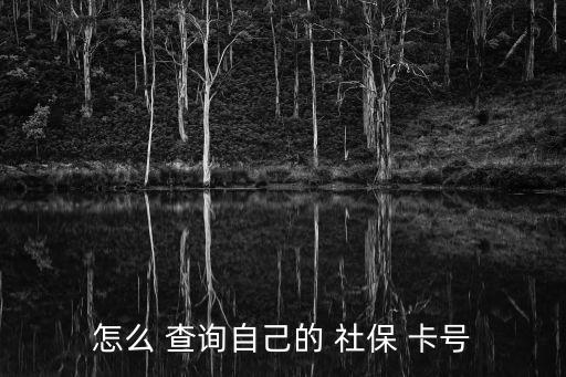 社保卡號(hào)怎么查詢,不知道自己的社?？ㄌ?hào)怎么查詢