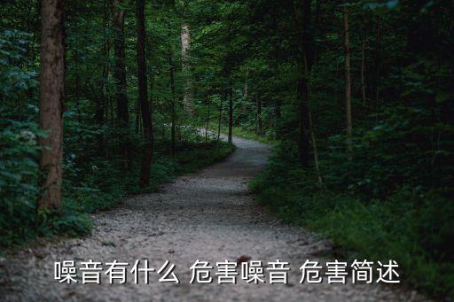 噪音有什么 危害噪音 危害簡述