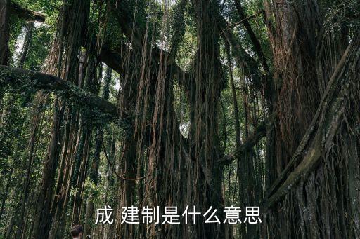 成 建制是什么意思